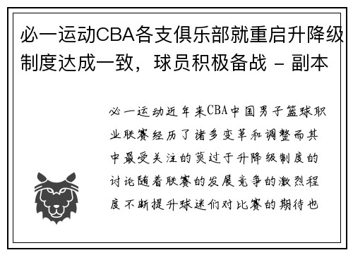 必一运动CBA各支俱乐部就重启升降级制度达成一致，球员积极备战 - 副本